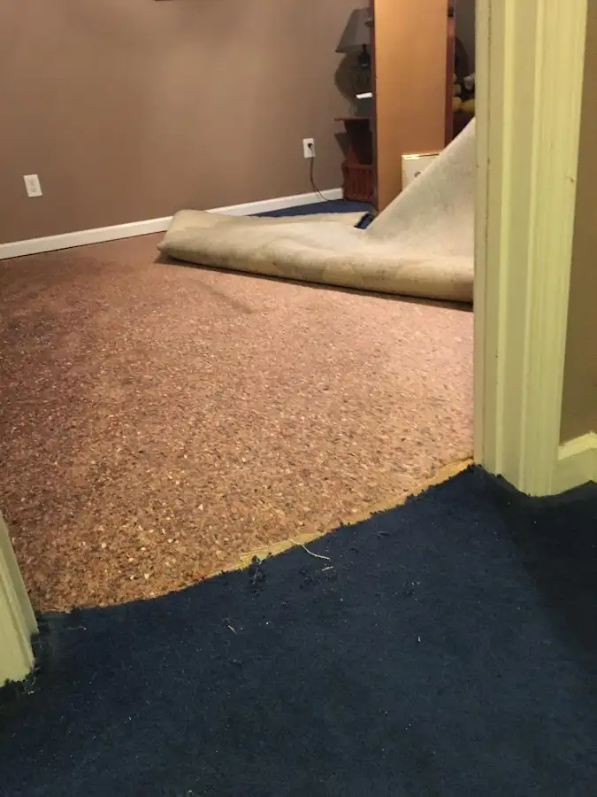 Carpet pad removal revealing water damage during Drying & Dehumidification in Stoneham